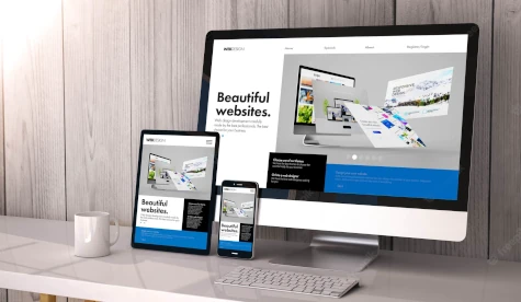 eCommerce Marketing & SEO Services MN | Blue Link Advertising